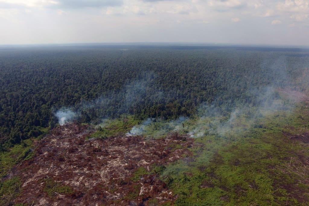 DJI_0047 web