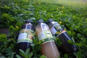 Produk-produk Organik IAR Indonesia