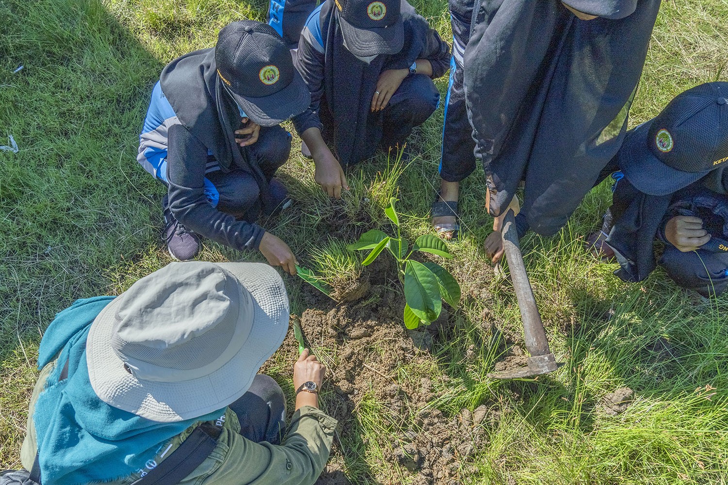 Have You Done Something for Your Earth?