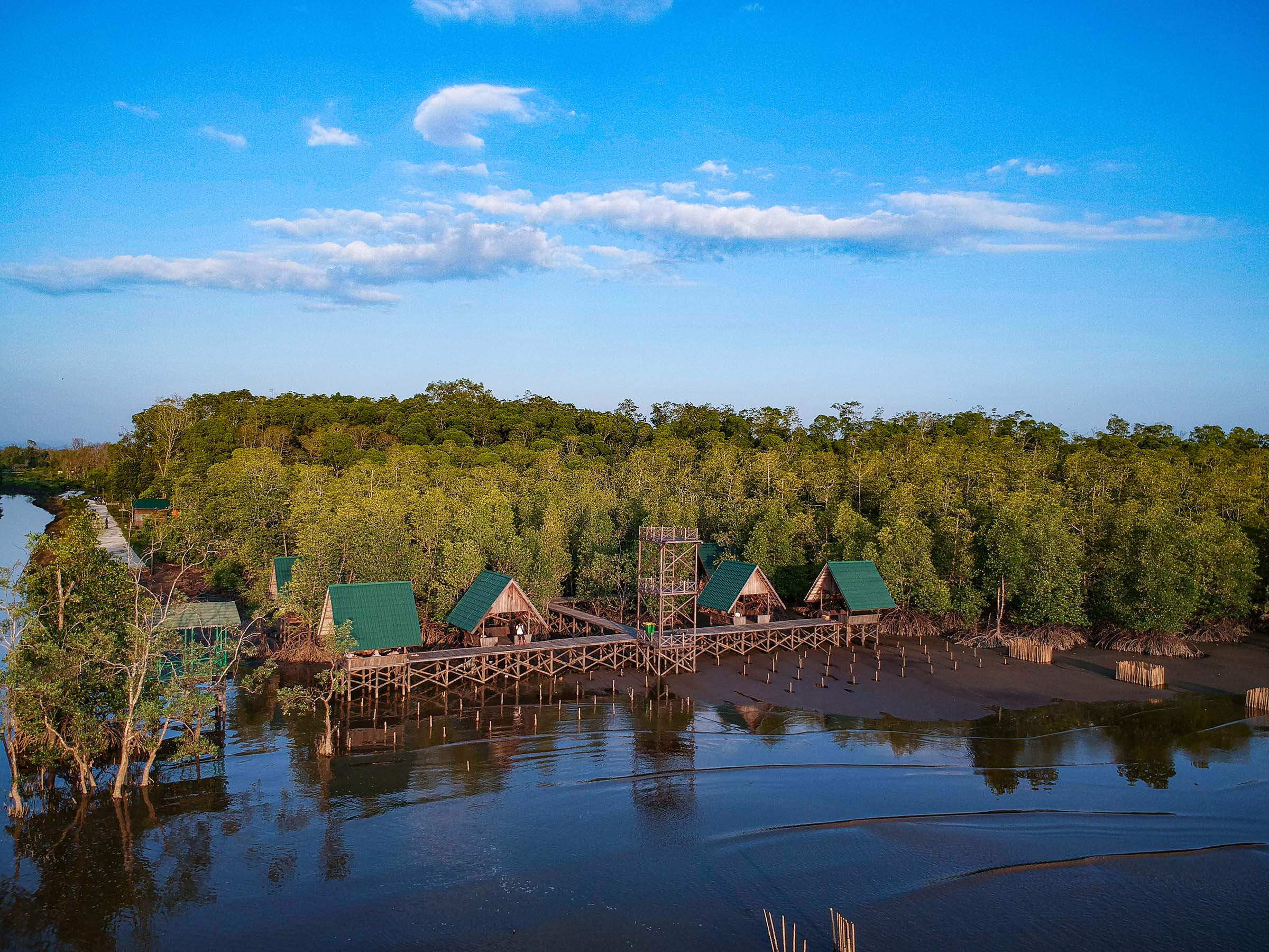 Selalu Ada Yang Penting Tentang Mangrove