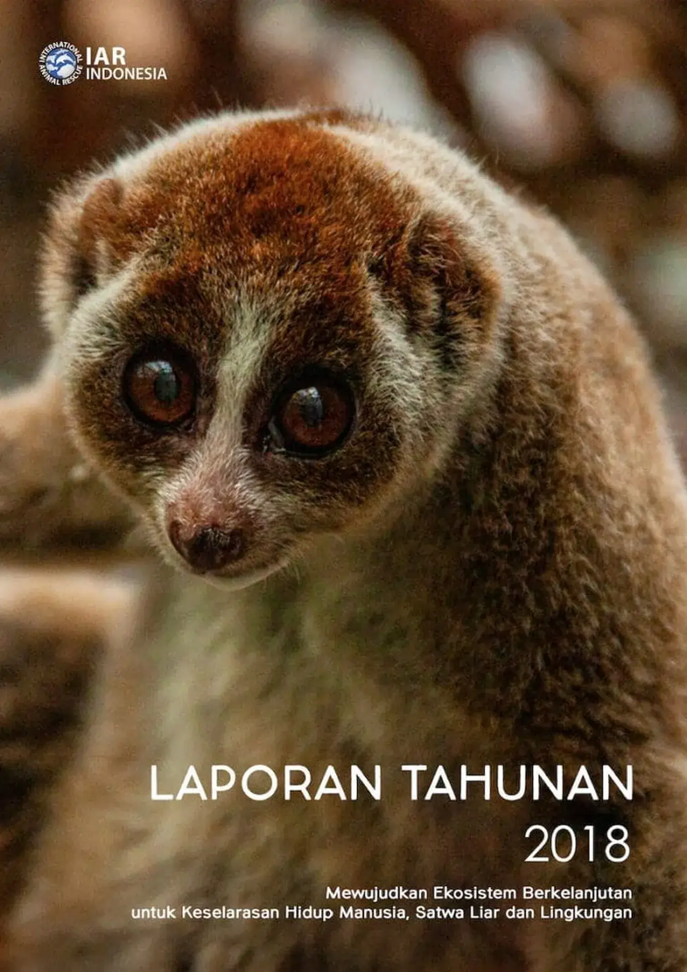 Laporan Tahunan 2018