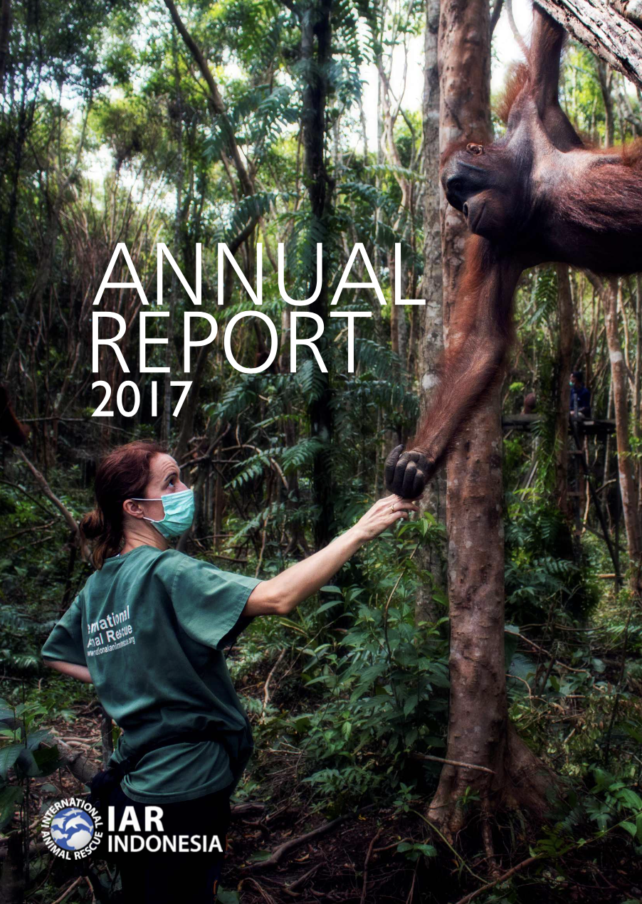 [ID] Annual Report 2017