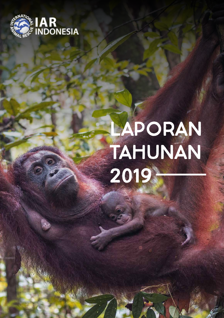 Laporan Tahunan 2019