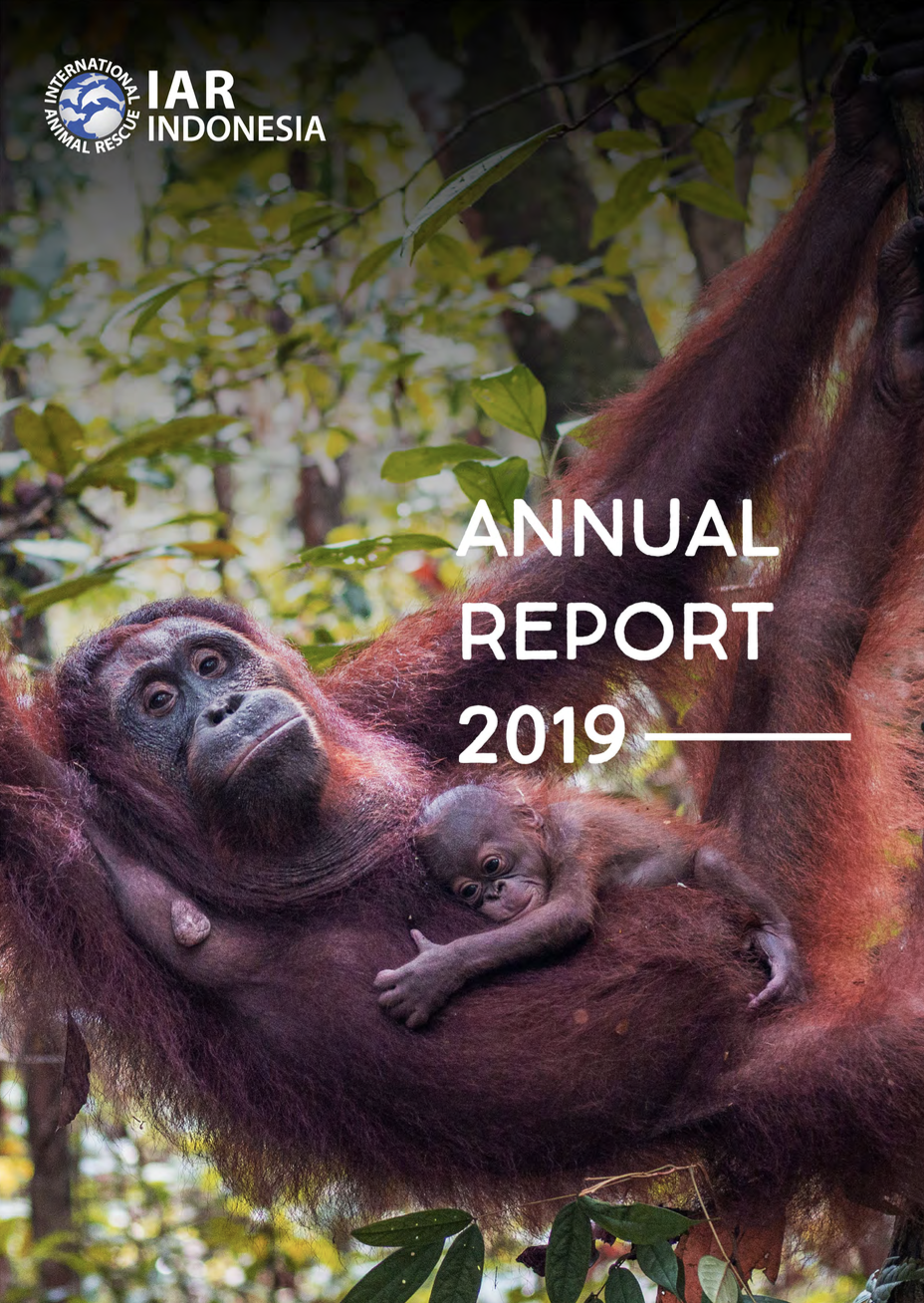 [Eng] Annual Report 2019