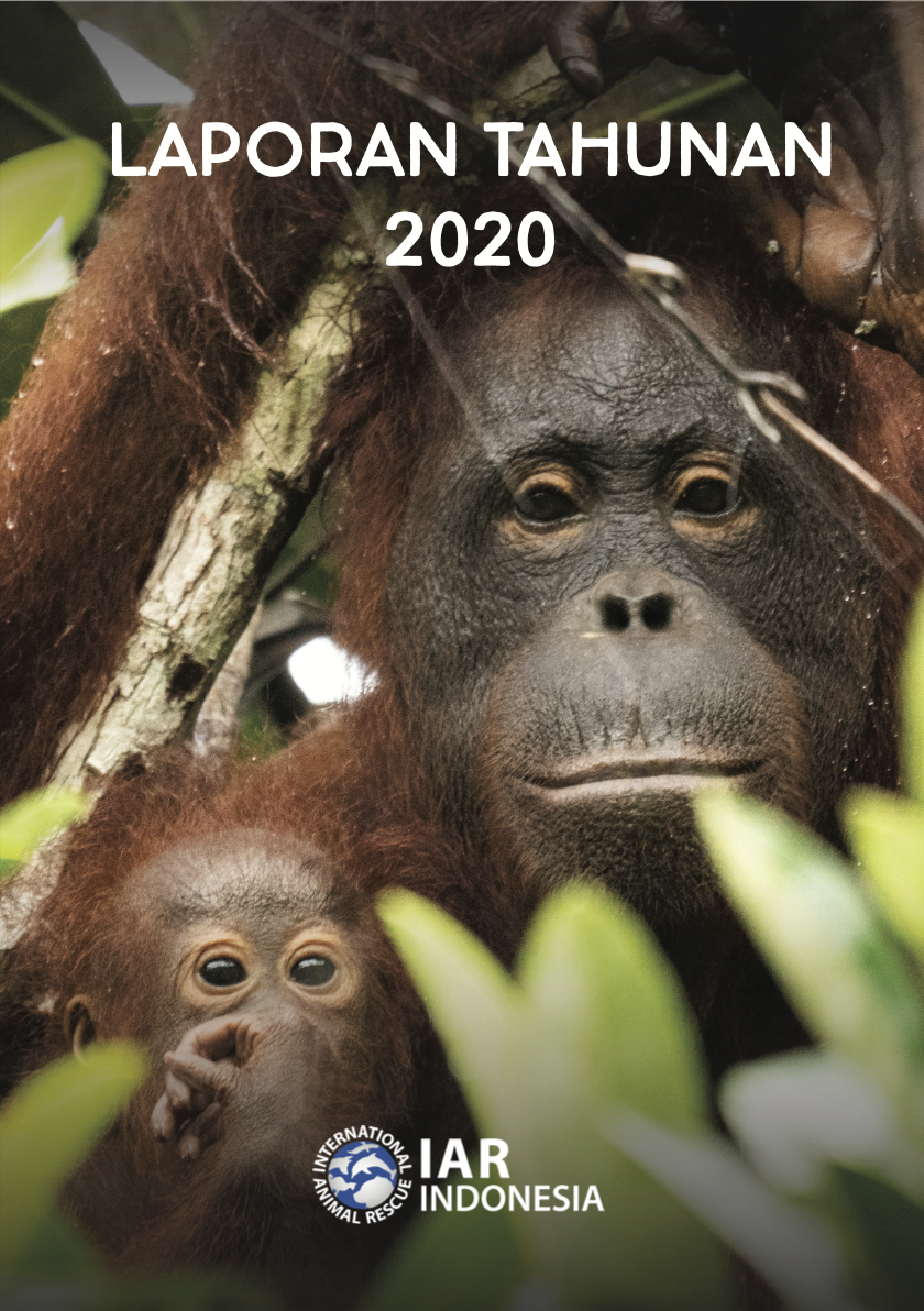 Laporan Tahunan 2020