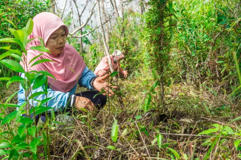 Pematang Gadung