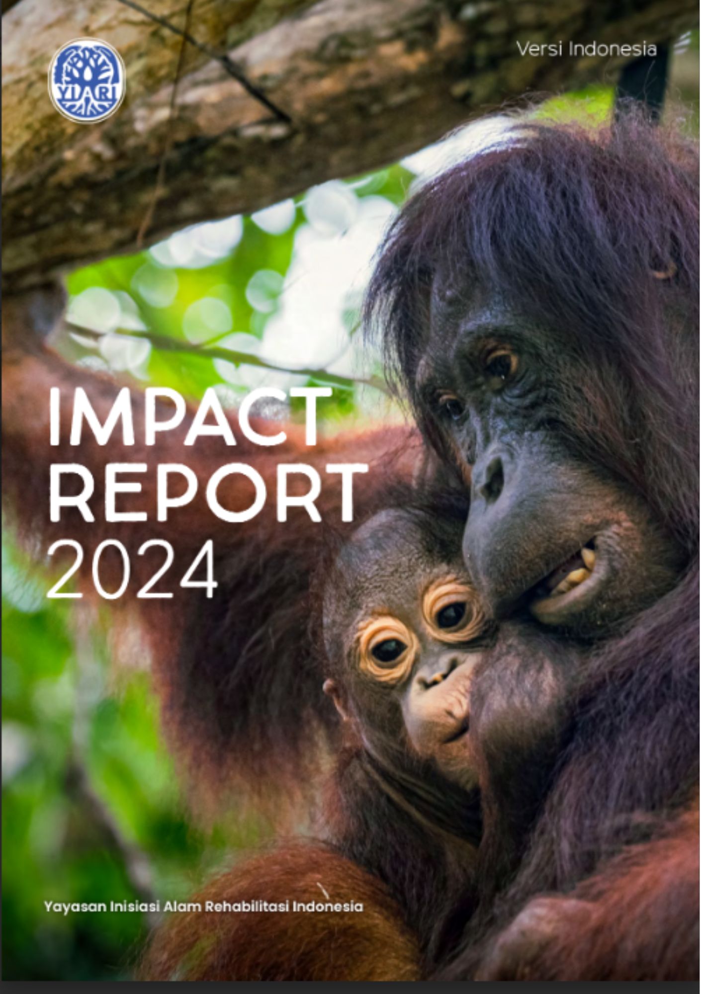 [ID] Impact Report 2024