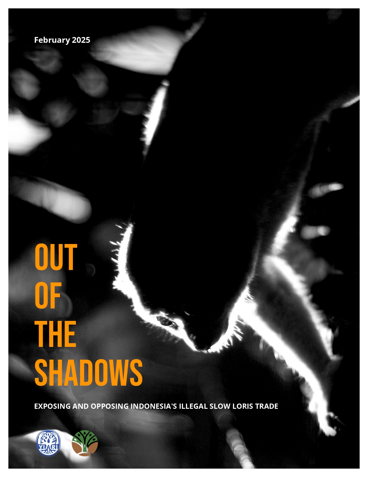 Out of the Shadows – Exposing and Opposing Indonesia’s Illegal Slow Loris Trade