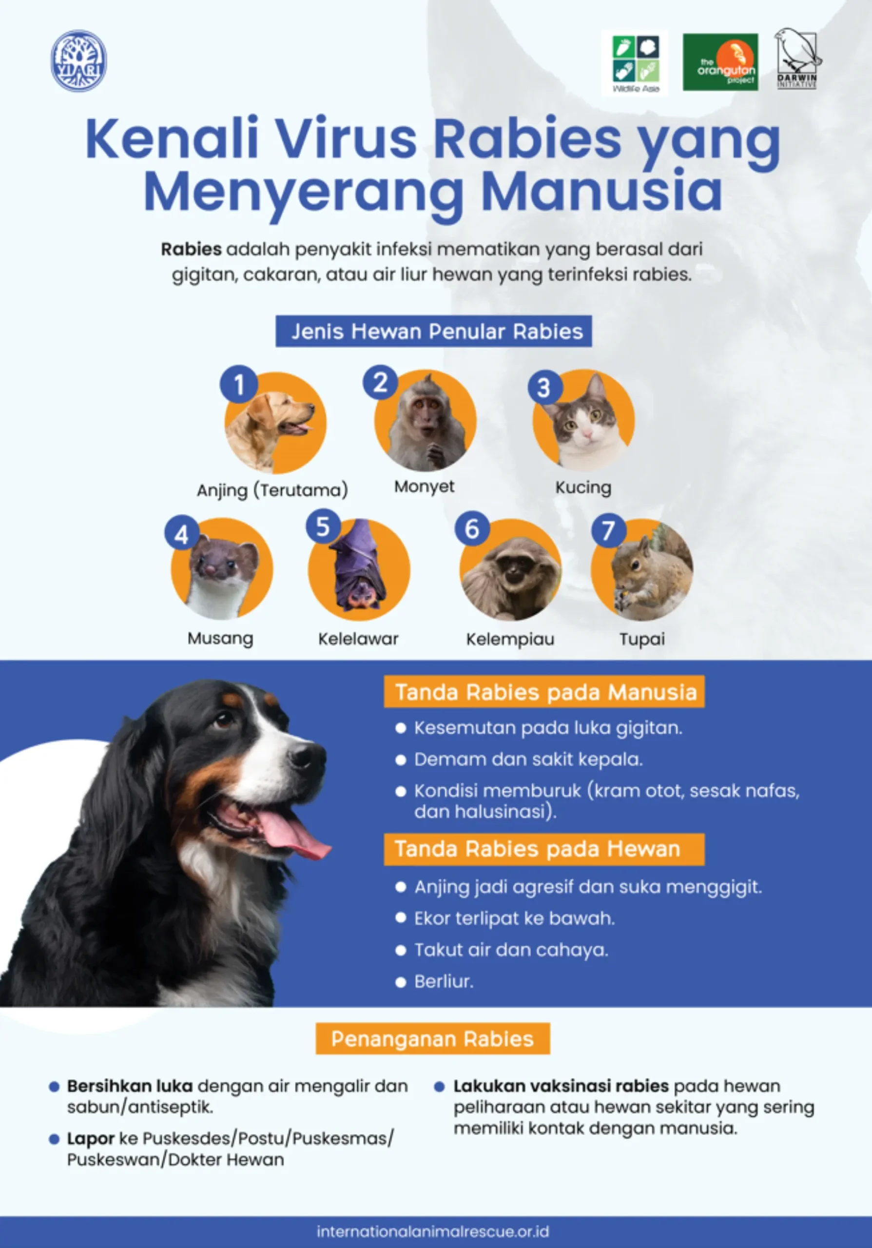 Kenali Virus Rabies