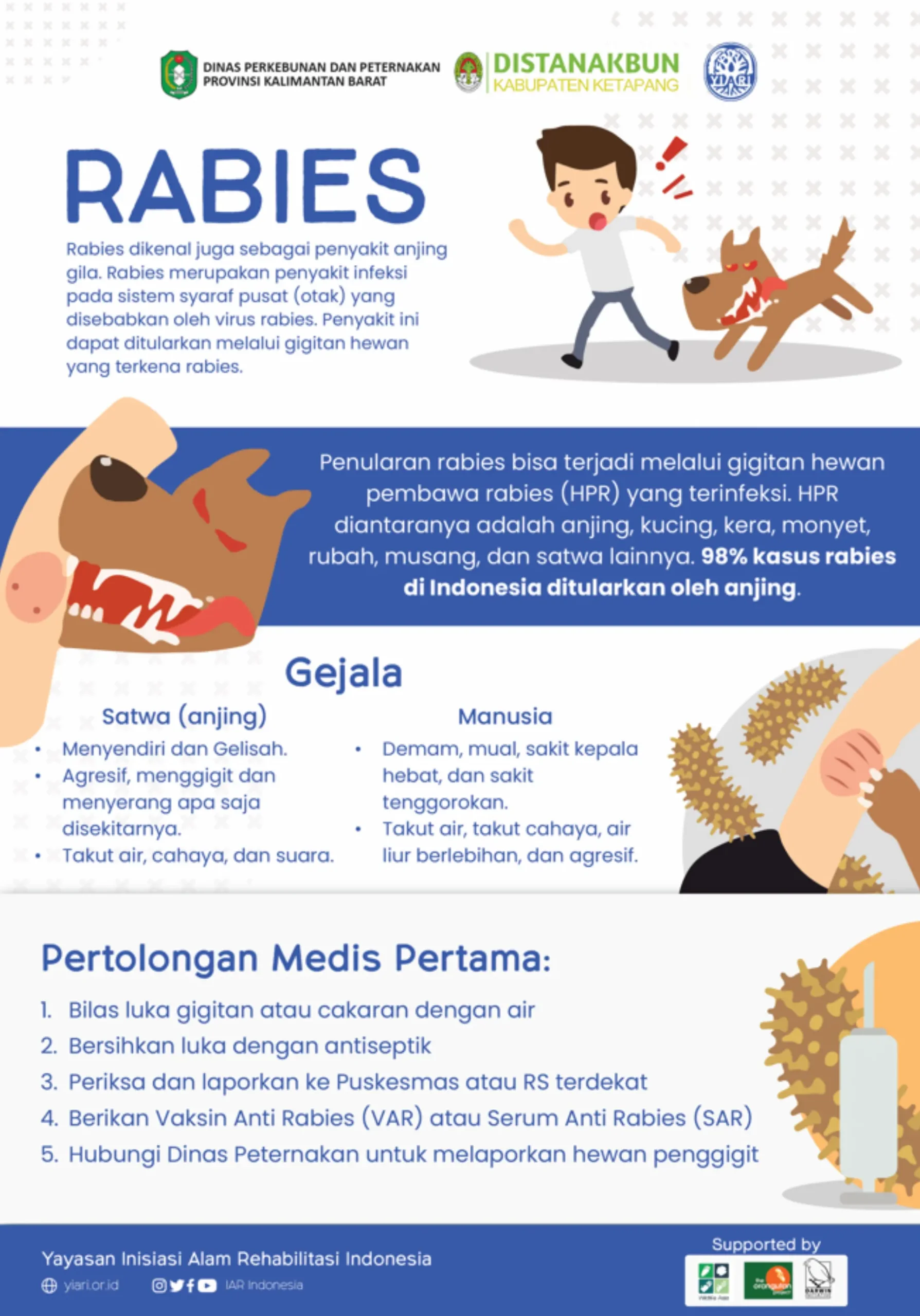 Rabies