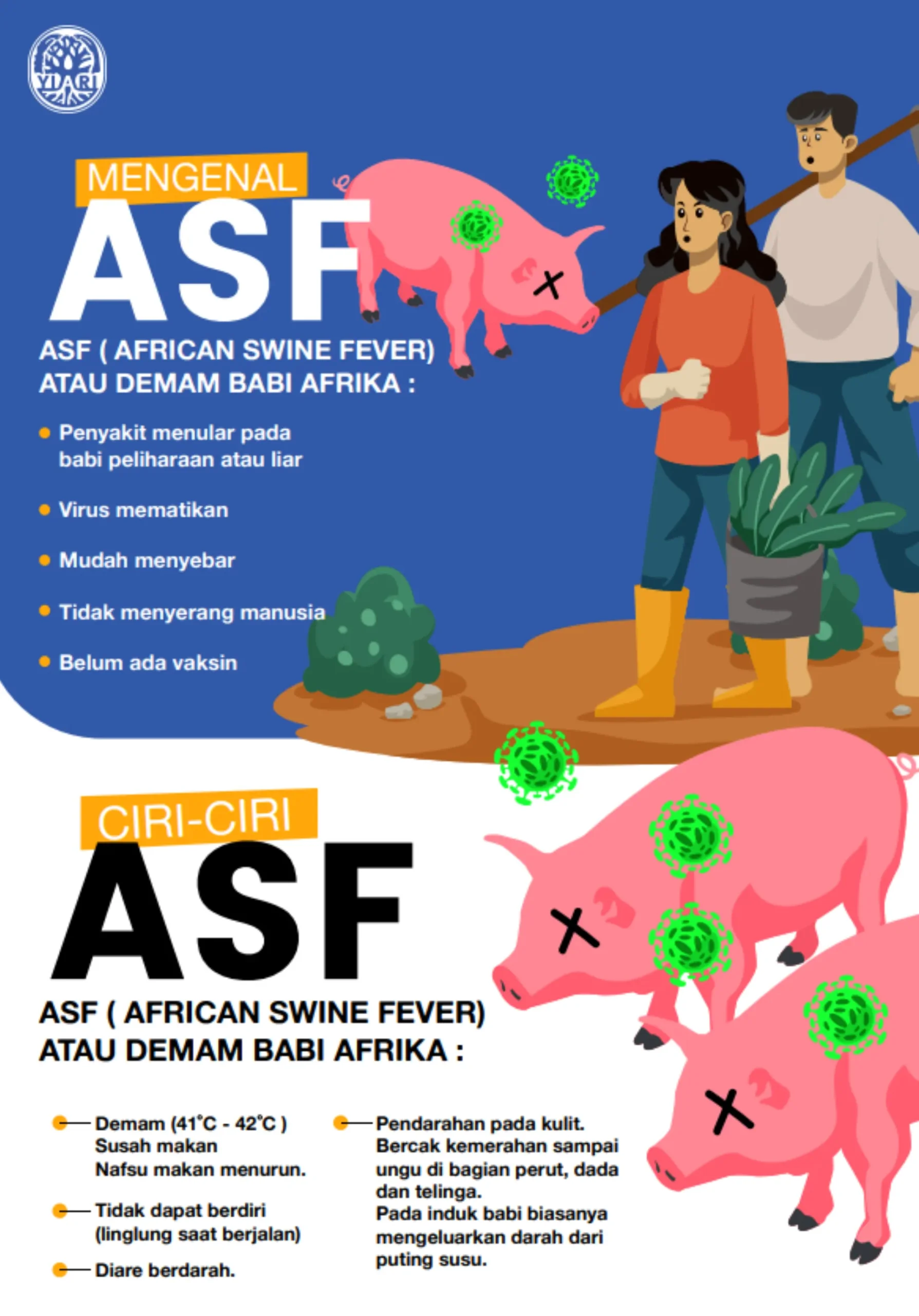 Infografis ASF (African Swine Fever)