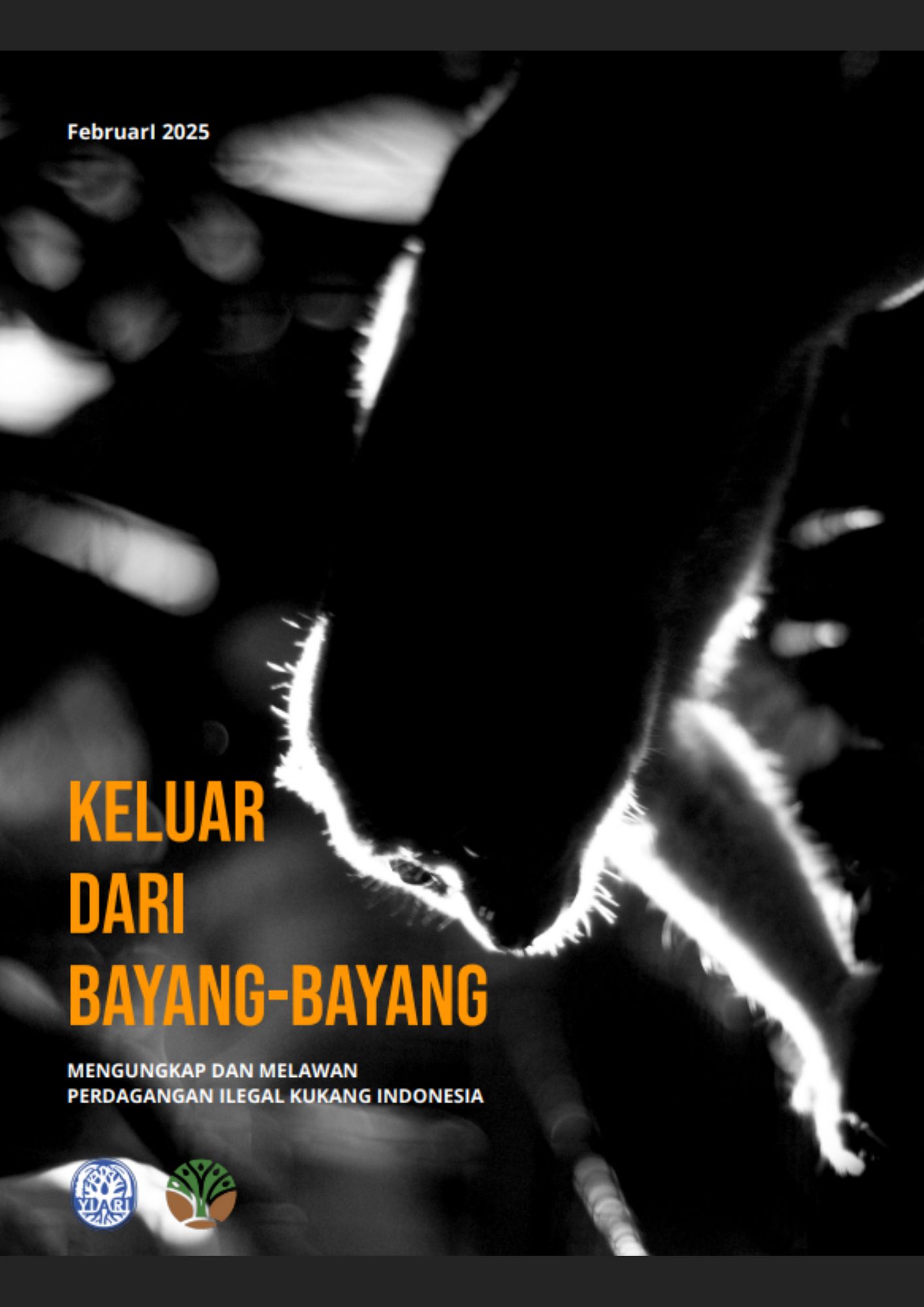 Keluar dari Bayang-bayang: Mengungkap dan Melawan Perdagangan Ilegal Kukang Indonesia