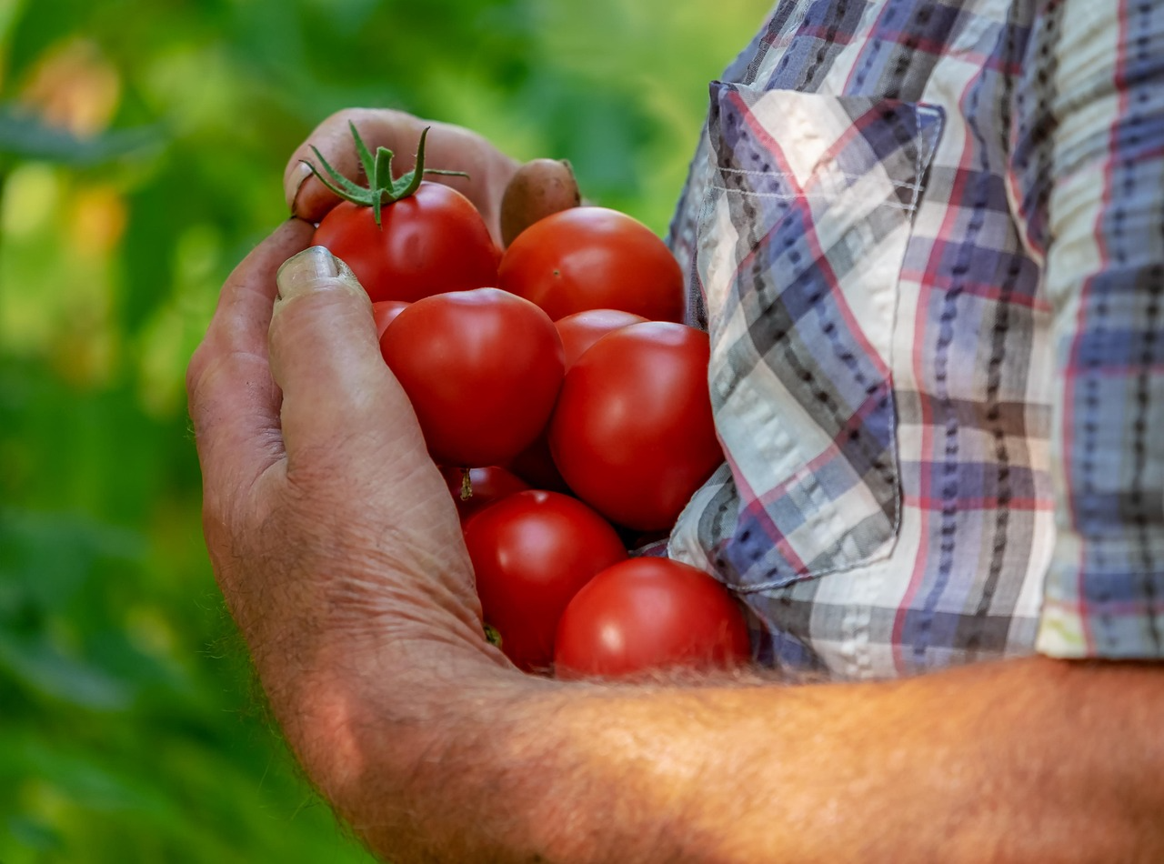 Agribisnis adalah: Pengertian, Manfaat, Ruang Lingkup, dan Contoh