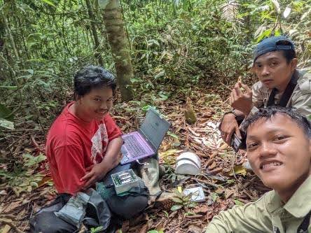 Catatan Lapangan Magang dan Penelitian Davit bersama YIARI
