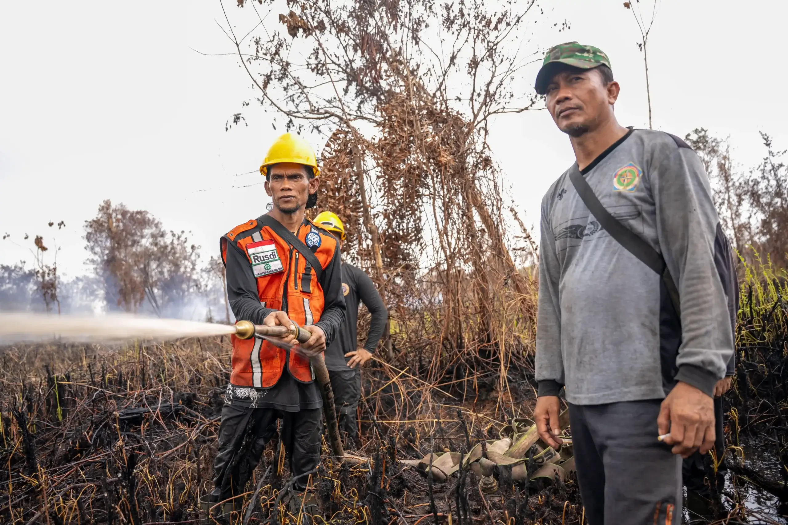 Ancaman ‘Godzilla’ El Niño: Kebakaran Hutan di Indonesia Berisiko Picu Dampak Global terhadap Iklim dan Keanekaragaman Hayati